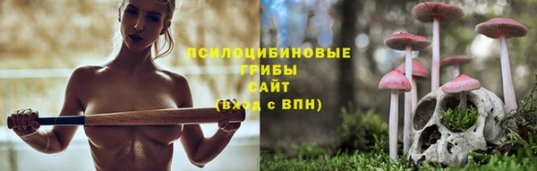 спайс Алзамай