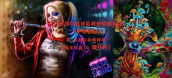 прущий лед Алексеевка